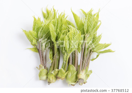 簡單和白色背景 37768512