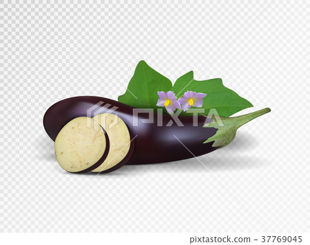 Vector eggplant isolated on transparent background Vector eggplant isolated on transparent background 37769045