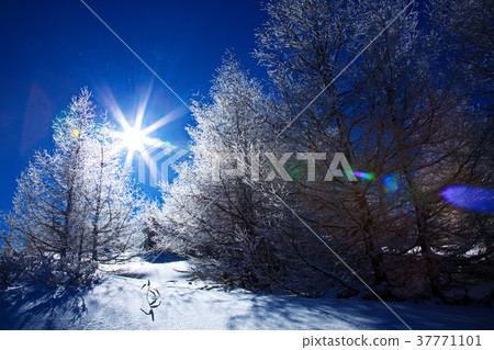 rime, solar, sun 37771101