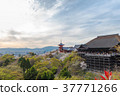 Kiyomizu dera temple in spring 37771266