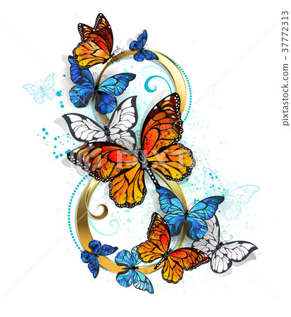 Eight of monarch butterflies 37772313