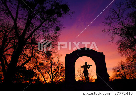 Vienna morning Vienna morning 37772416