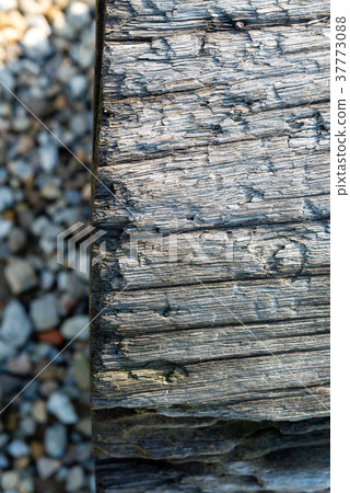 木紋 木目 樹幹 Tree Trunk 木頭 wood 木材 石礫 砂利 Stone gravel 37773088