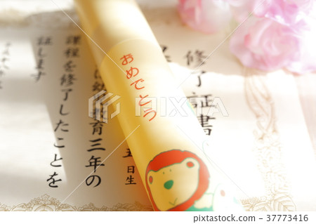 Diploma Diploma 37773416