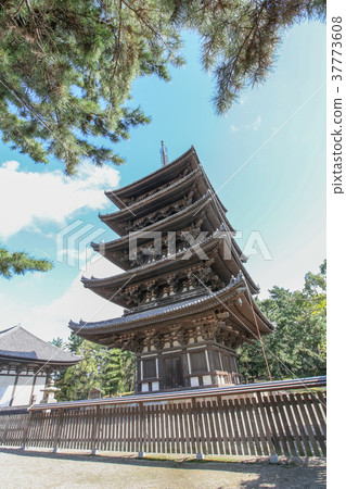 Nara Kofuku-ji Temple Five Story Pagoda 37773608