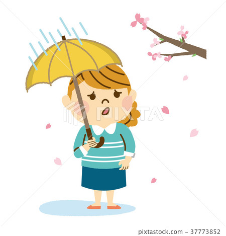 觀賞婦女的櫻花 37773852