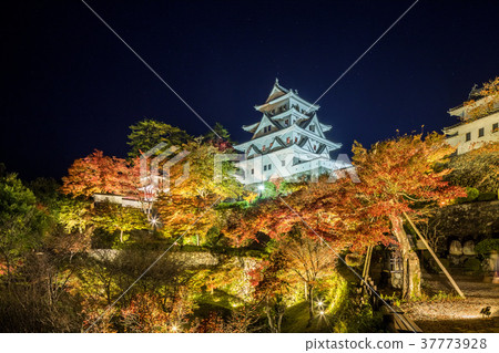 郡上八幡城秋天照亮了郡上市八幡町 37773928