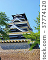 Kumamoto Castle 8 37774120