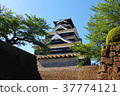 Kumamoto Castle 9 37774121