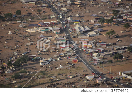 從在Pushkar峰頂的印度寺廟看的駱駝節日狀態在印度 37774622