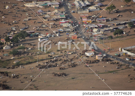 State of camel festival seen from Hindu temple on the peak of Pushkar peak in India 37774626