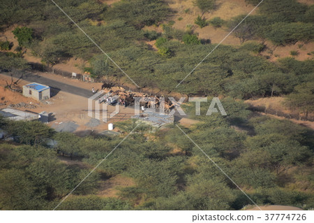 從印度教寺廟看的駱駝節日在Pushkar峰頂在印度駱駝牧群的運動 從印度教寺廟看的駱駝節日在Pushkar峰頂在印度駱駝牧群的運動 37774726