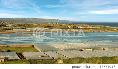 Tomato Greenhouses and Salines - Pachino Italy Tomato Greenhouses and Salines - Pachino Italy 37774937