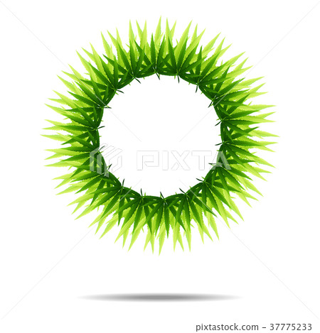 green cannabis leaf drug marijuana herb 37775233