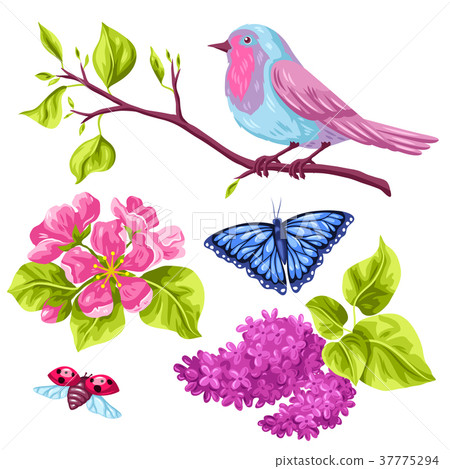 Spring garden set of objects. Natural illustration 37775294