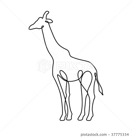 Endless line art illustration of giraffe Endless line art illustration of giraffe 37775334