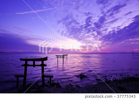 Underwater torii (Tara-cho) Underwater torii (Tara-cho) 37775343