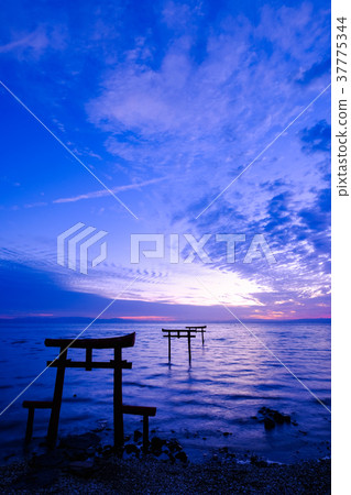 Underwater torii (Tara-cho) Underwater torii (Tara-cho) 37775344