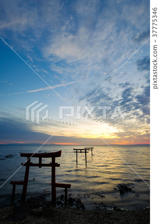 Underwater torii (Tara-cho) Underwater torii (Tara-cho) 37775346