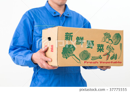 Image of agriculture 37775555