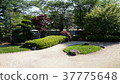 Kyoto's Daizan Water 37775648