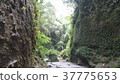 cave 37775653