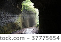 cave 37775654