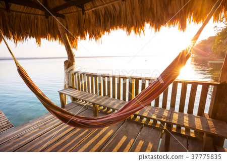 Hammock Hammock 37775835