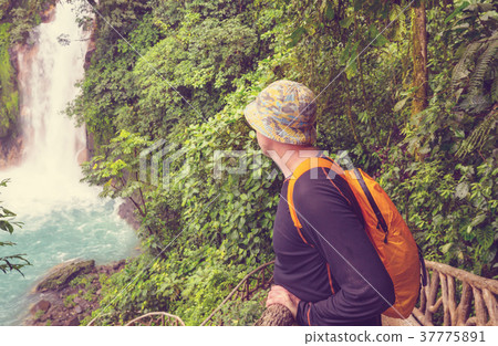 Waterfall in Costa Rica Waterfall in Costa Rica 37775891