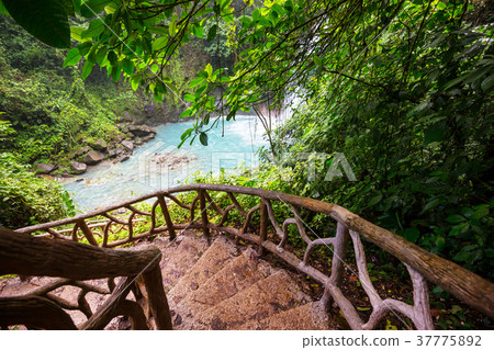 Waterfall in Costa Rica Waterfall in Costa Rica 37775892