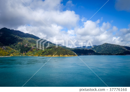 Marlborough Sounds, New Zealand 37776168