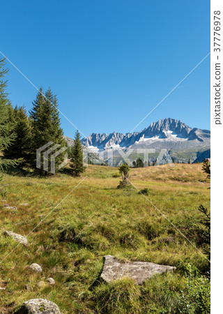 Peak of Care Alto - Adamello Trento Italy Peak of Care Alto - Adamello Trento Italy 37776978