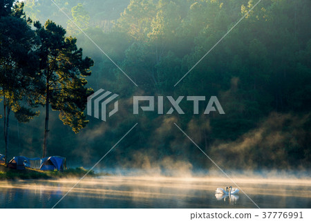Morning at Pang Ung lake, Pang Ung Mae Hong Son province Morning at Pang Ung lake, Pang Ung Mae Hong Son province 37776991