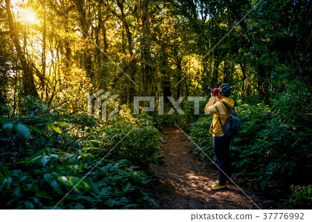 Professional photographer takes photos with camera in the forest 37776992