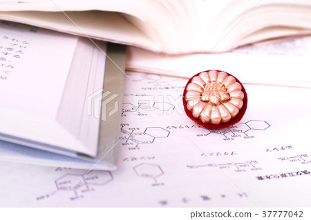 patent attorney 37777042