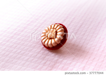 Patent attorney badge 37777044