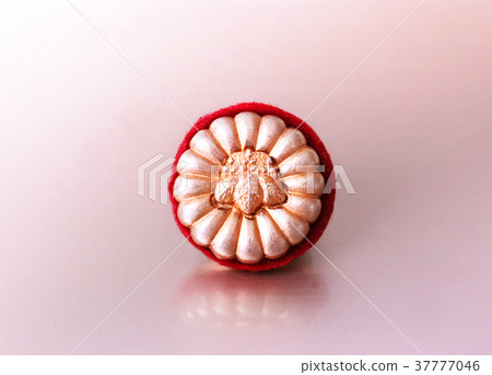 Patent attorney badge 37777046