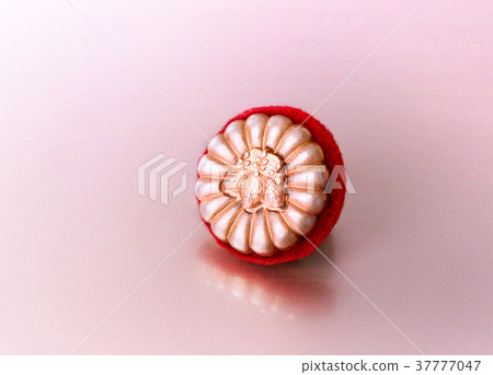 Patent attorney badge 37777047