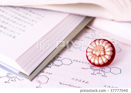 patent attorney 37777048