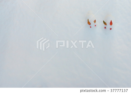 A snow rabbit A snow rabbit 37777137
