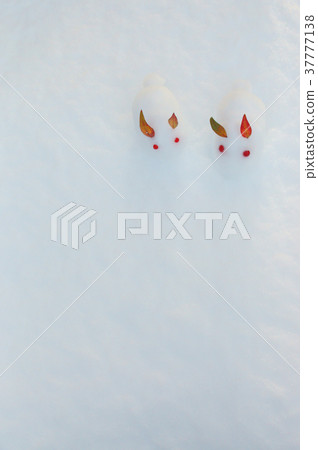 A snow rabbit A snow rabbit 37777138