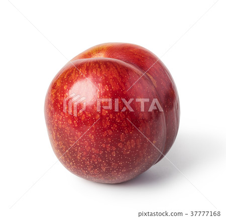 plum fruit 37777168
