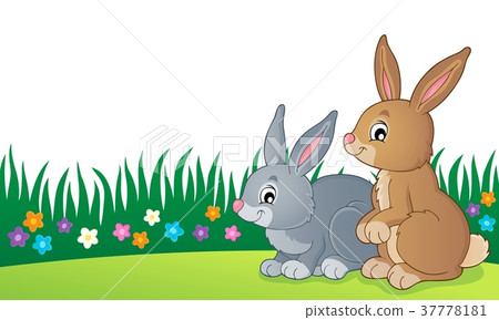 Rabbit topic image 7 Rabbit topic image 7 37778181