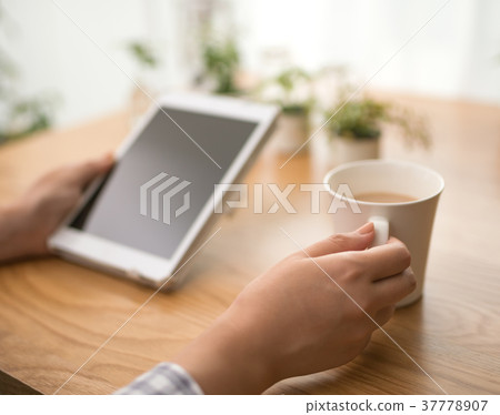 片劑 37778907