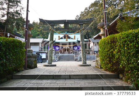 消防員消防銷售神社 37779533