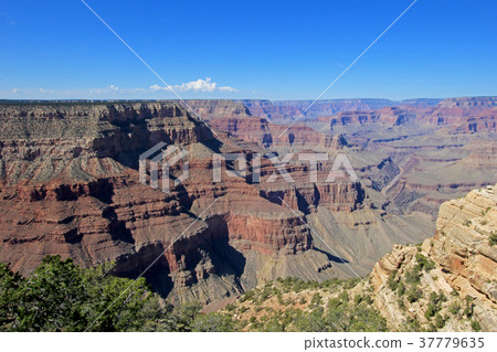 Panoramic view of Grand Canyon, USA 37779635