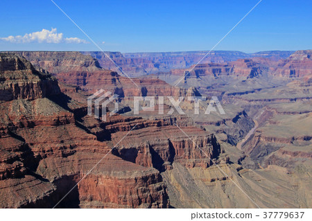 Panoramic view of Grand Canyon, USA 37779637