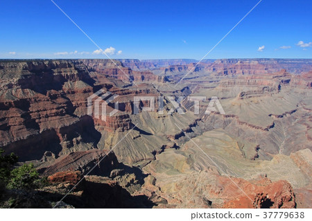Panoramic view of Grand Canyon, USA 37779638