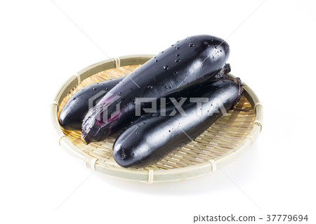 茄子 茄子 37779694