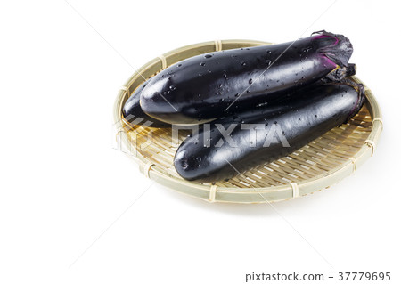 eggplant eggplant 37779695